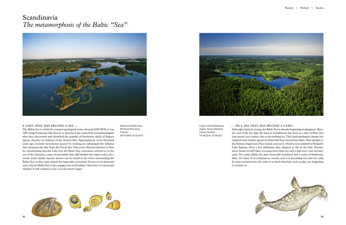 Freshwater: The View from Above and the Life Below