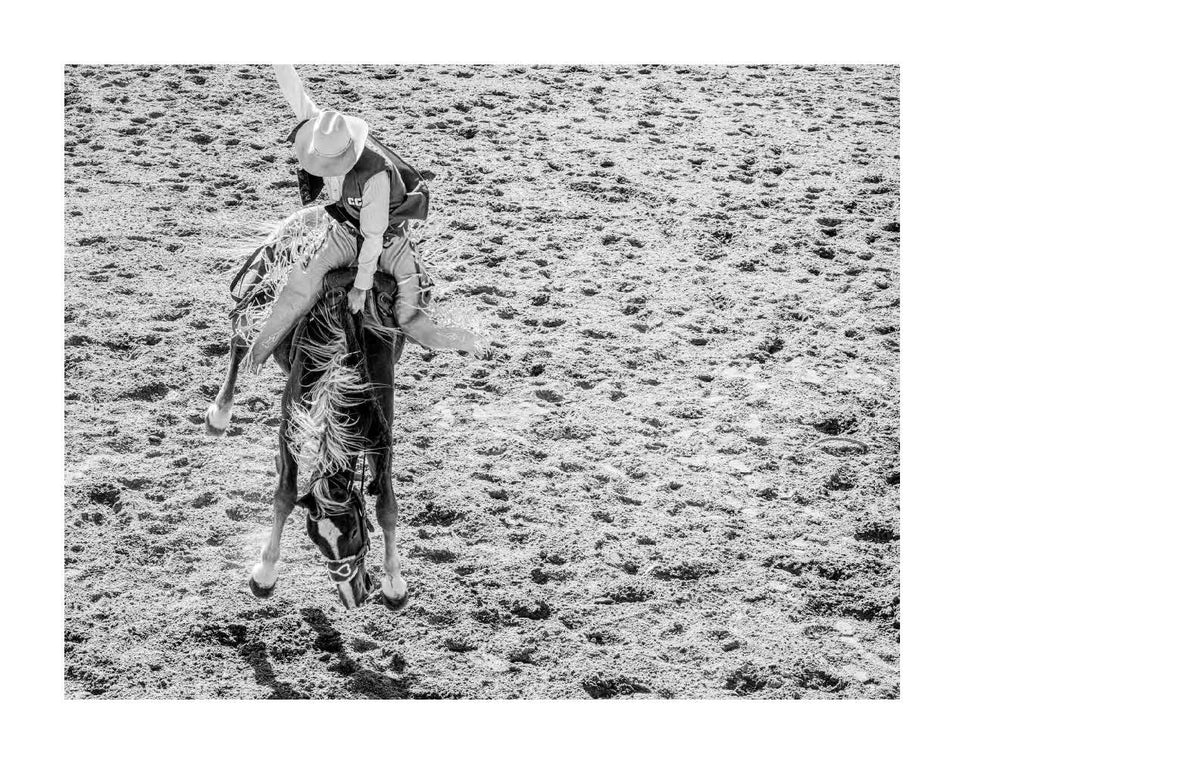 American Cowboys
