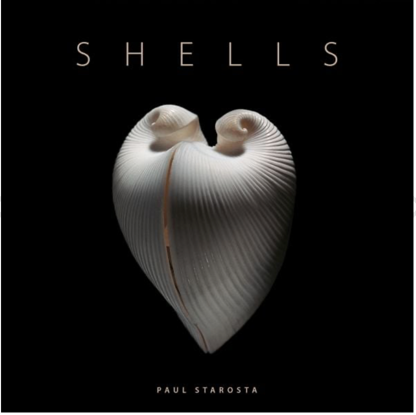 Shells