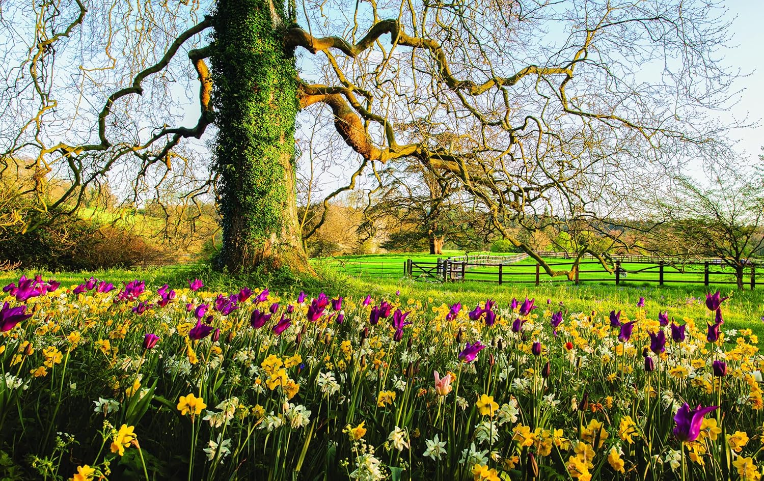 Martha Stewart's Gardening Handbook