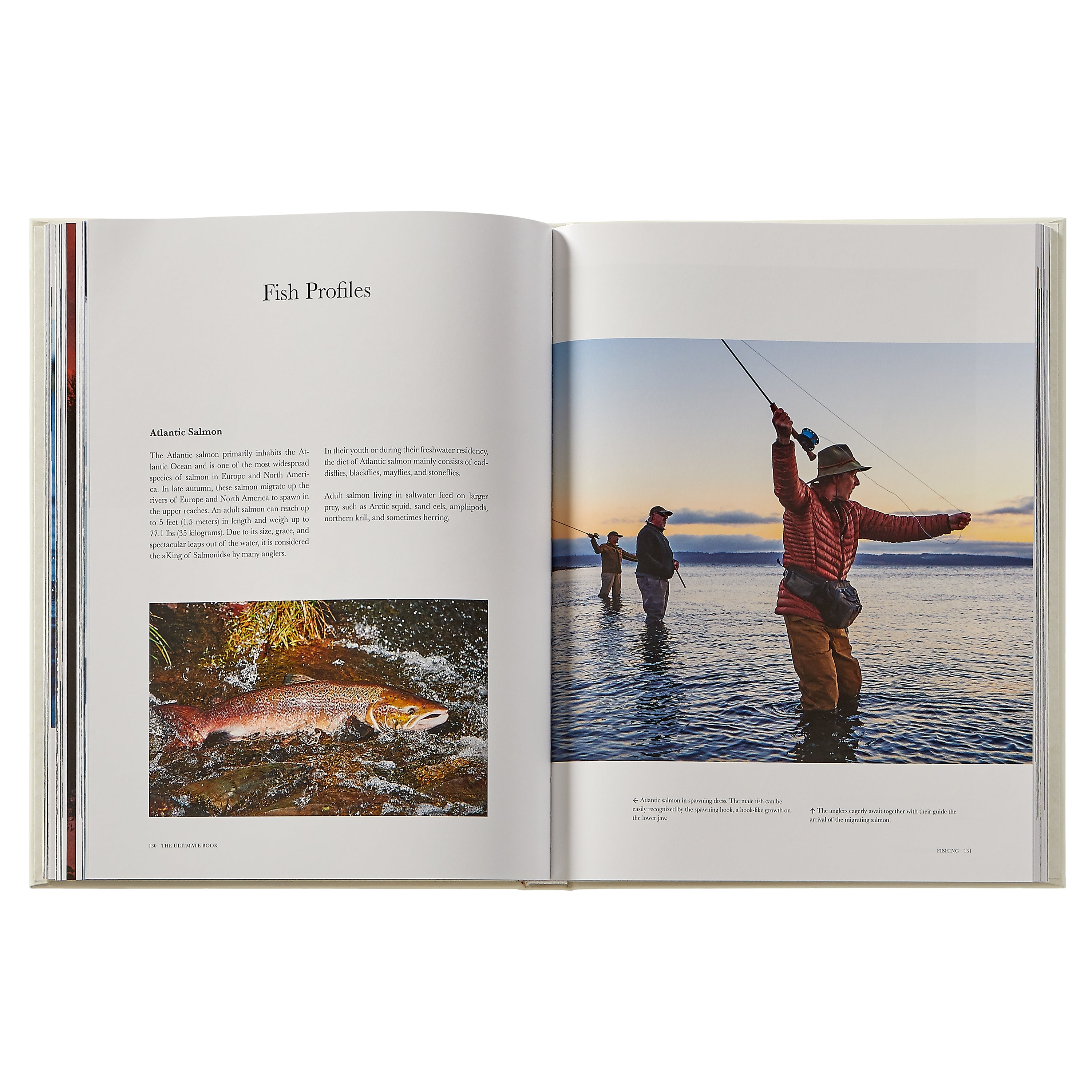Fishing: The Ultimate Book Leather Edition