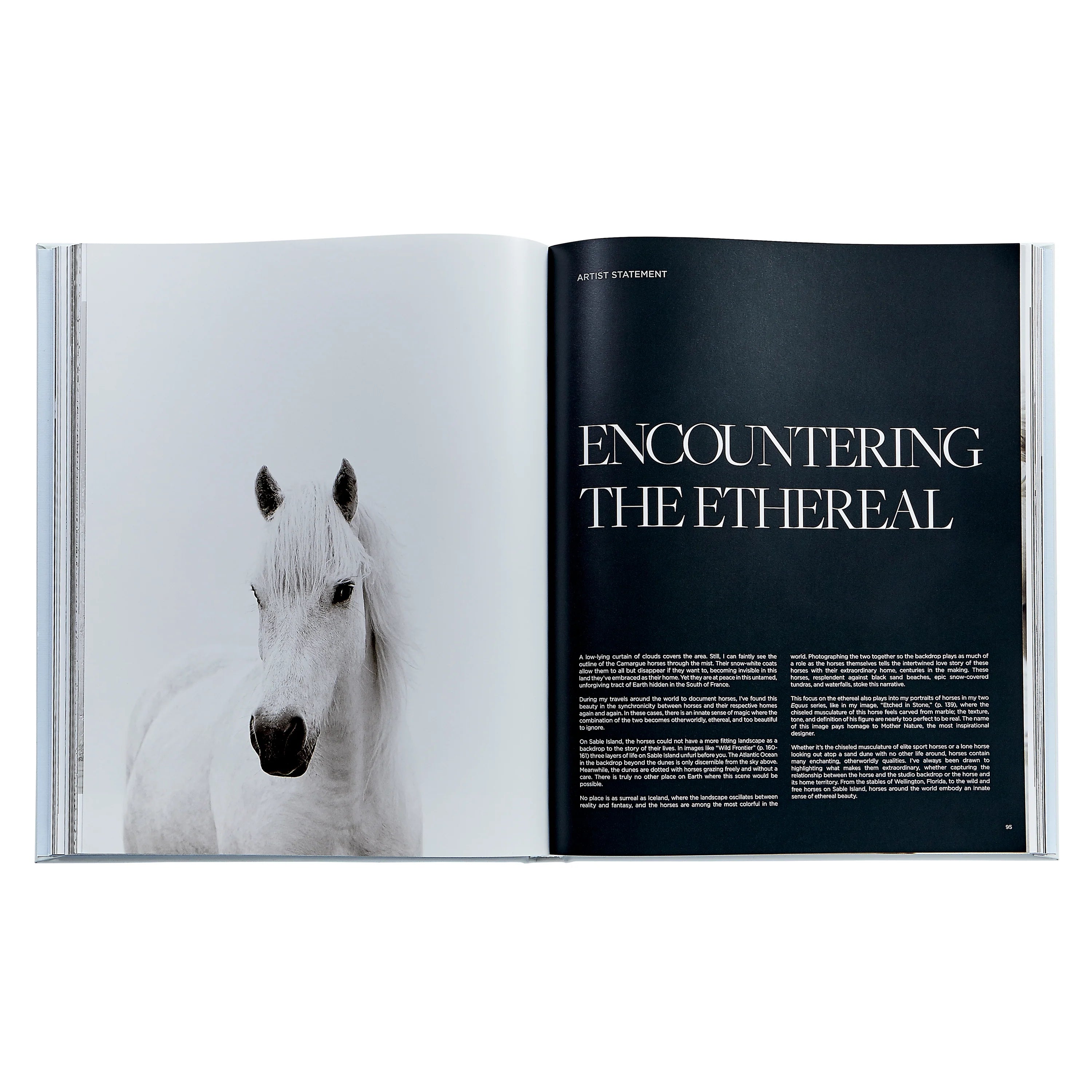 Untamed Spirits: Horses From Around the World