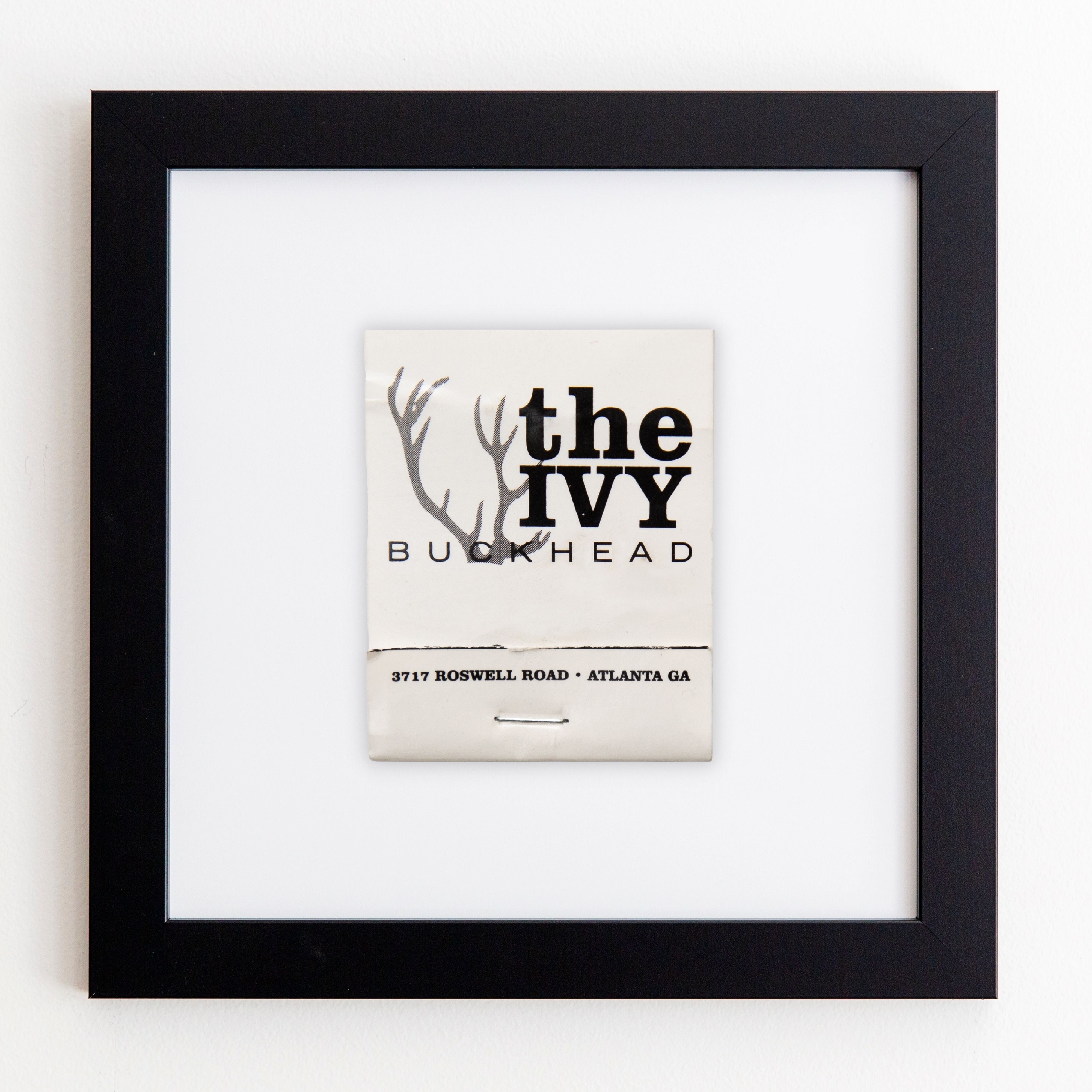 The Ivy