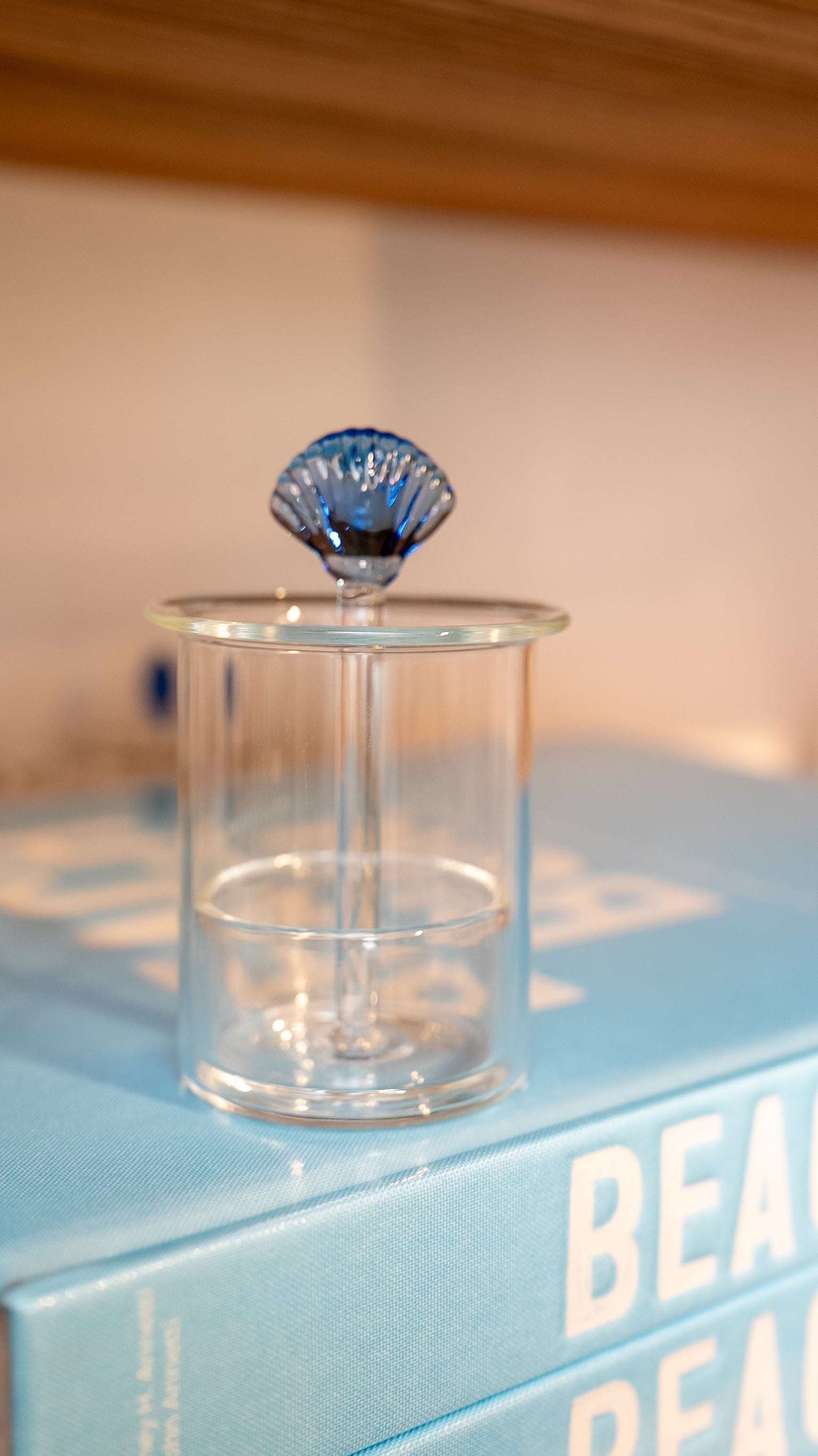 Glass Shell Toothpick Holder