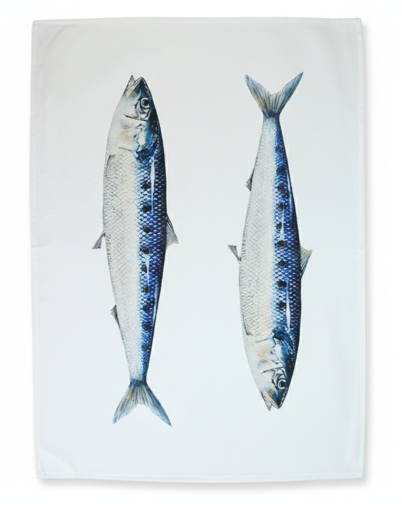 Two fish illustrations on a white background
