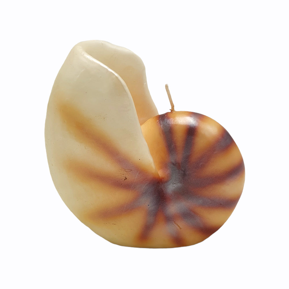 Large Nautilus Shell Candle