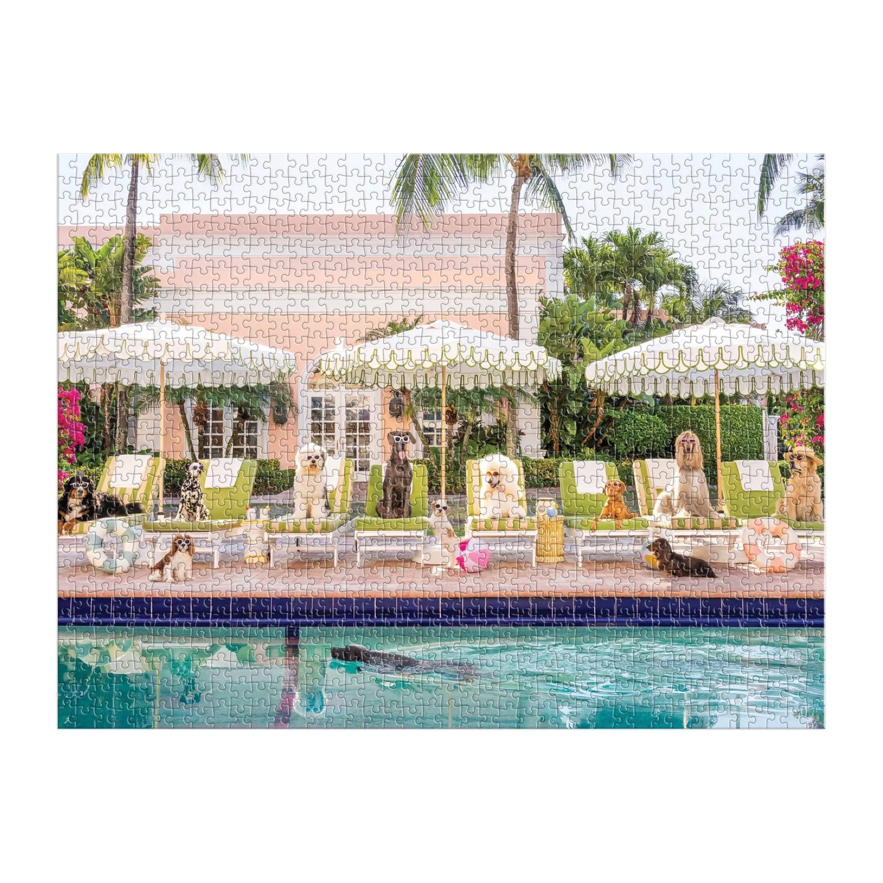 Gray Malin Pool Day Palm Beach