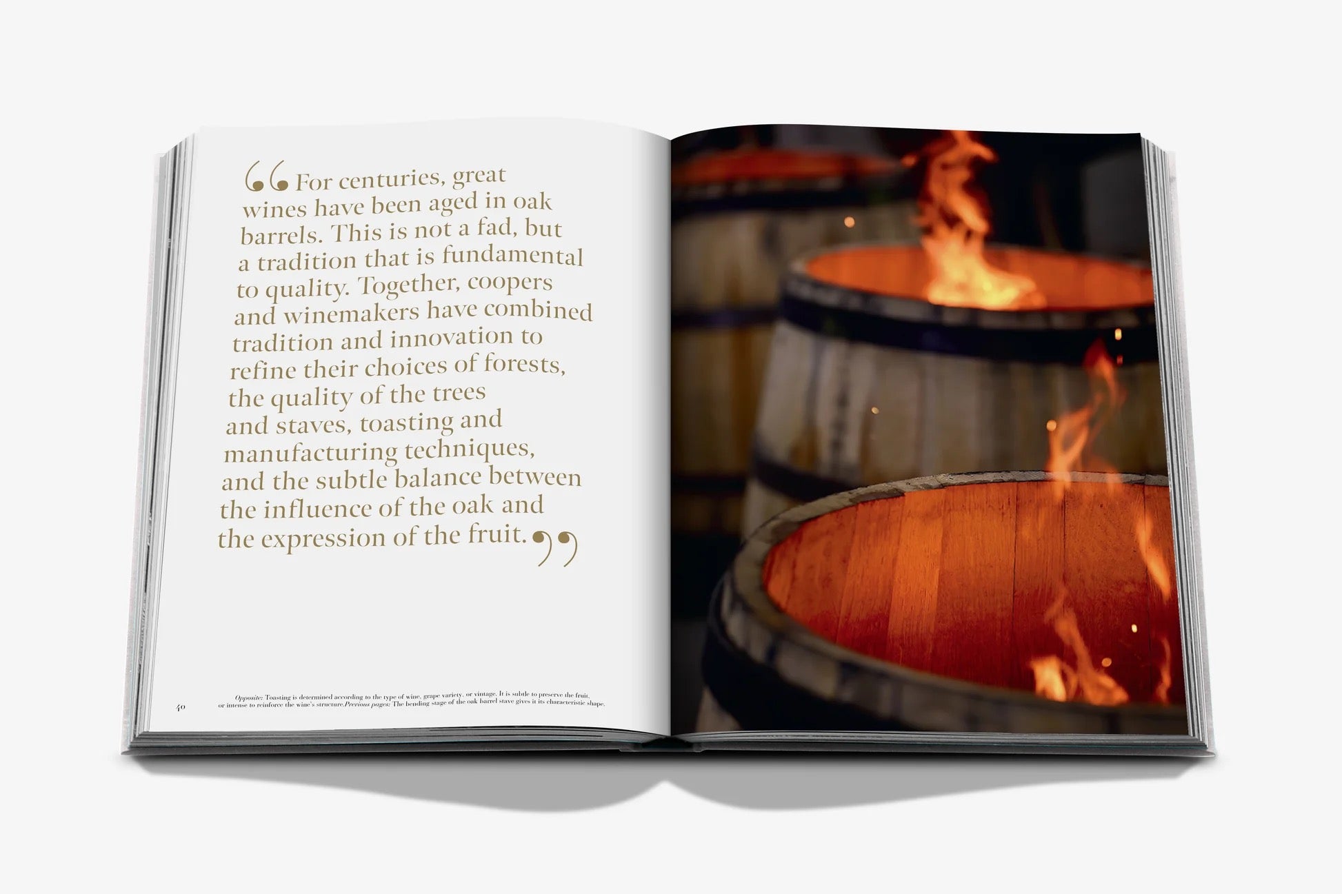 Oak, Wine & Spirits: Tale of Alchemy