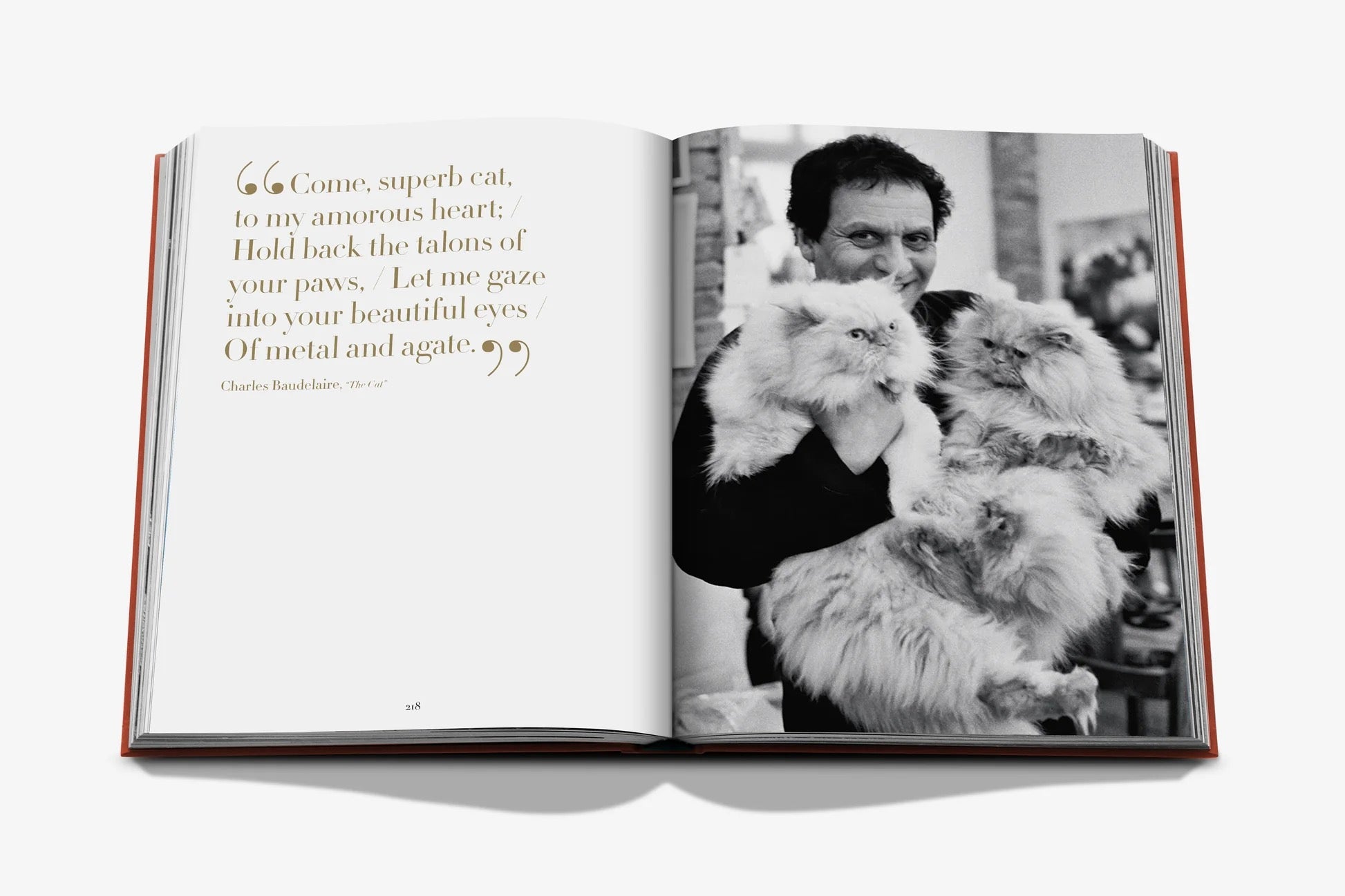 Chic Cats