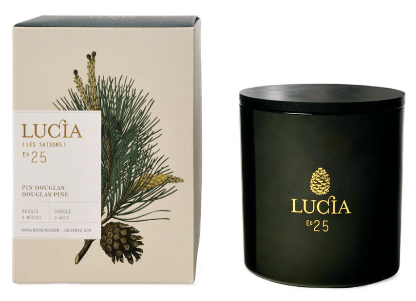 Black Lucia candle with packaging featuring pine branch and pine cone design on a white background
