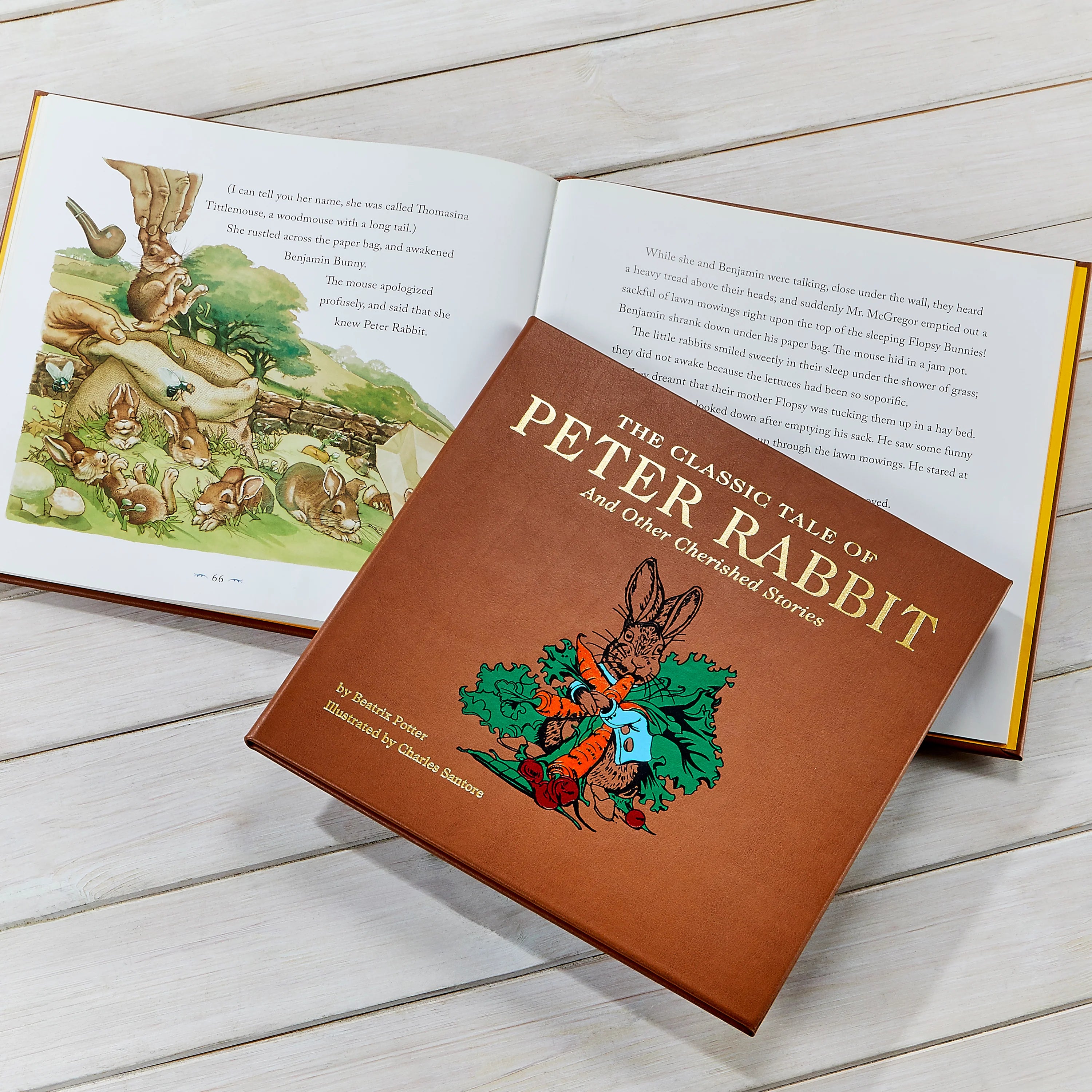 The Classic Tale of Peter Rabbit