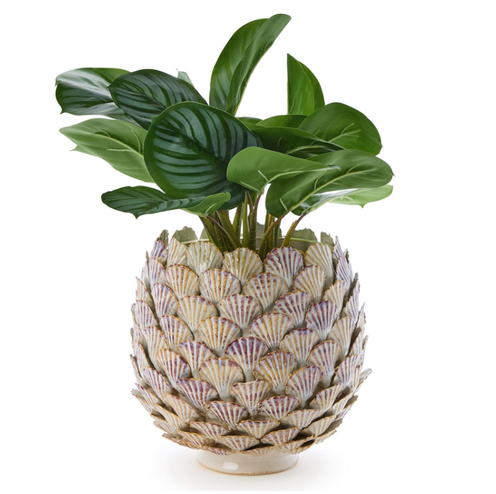 Shell Planter