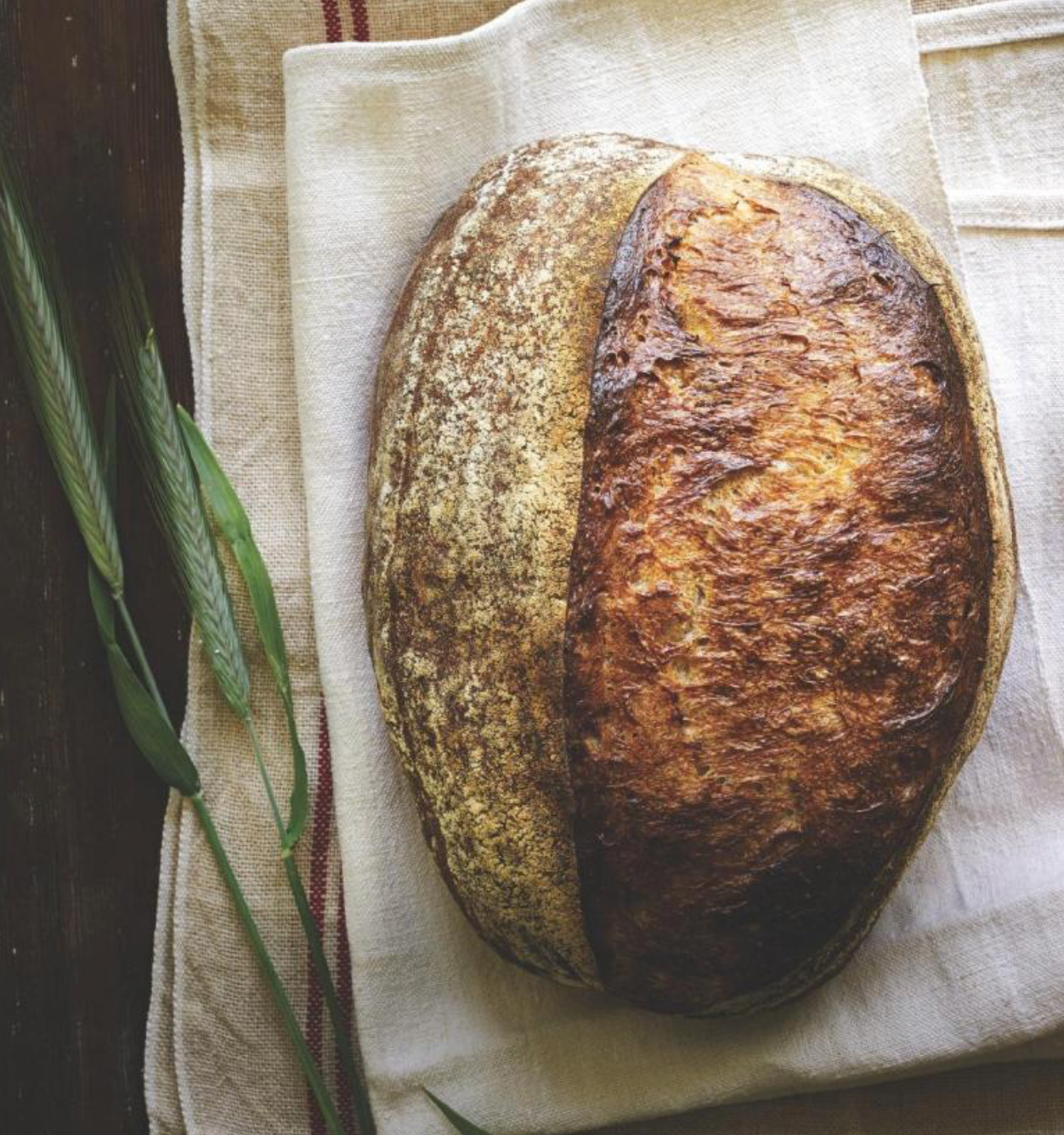 Sourdough: Recipes for Rustic Fermented Breads, Sweets, Savories, and More