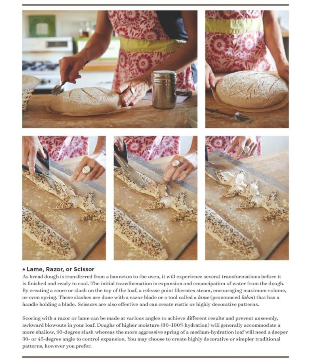 Sourdough: Recipes for Rustic Fermented Breads, Sweets, Savories, and More