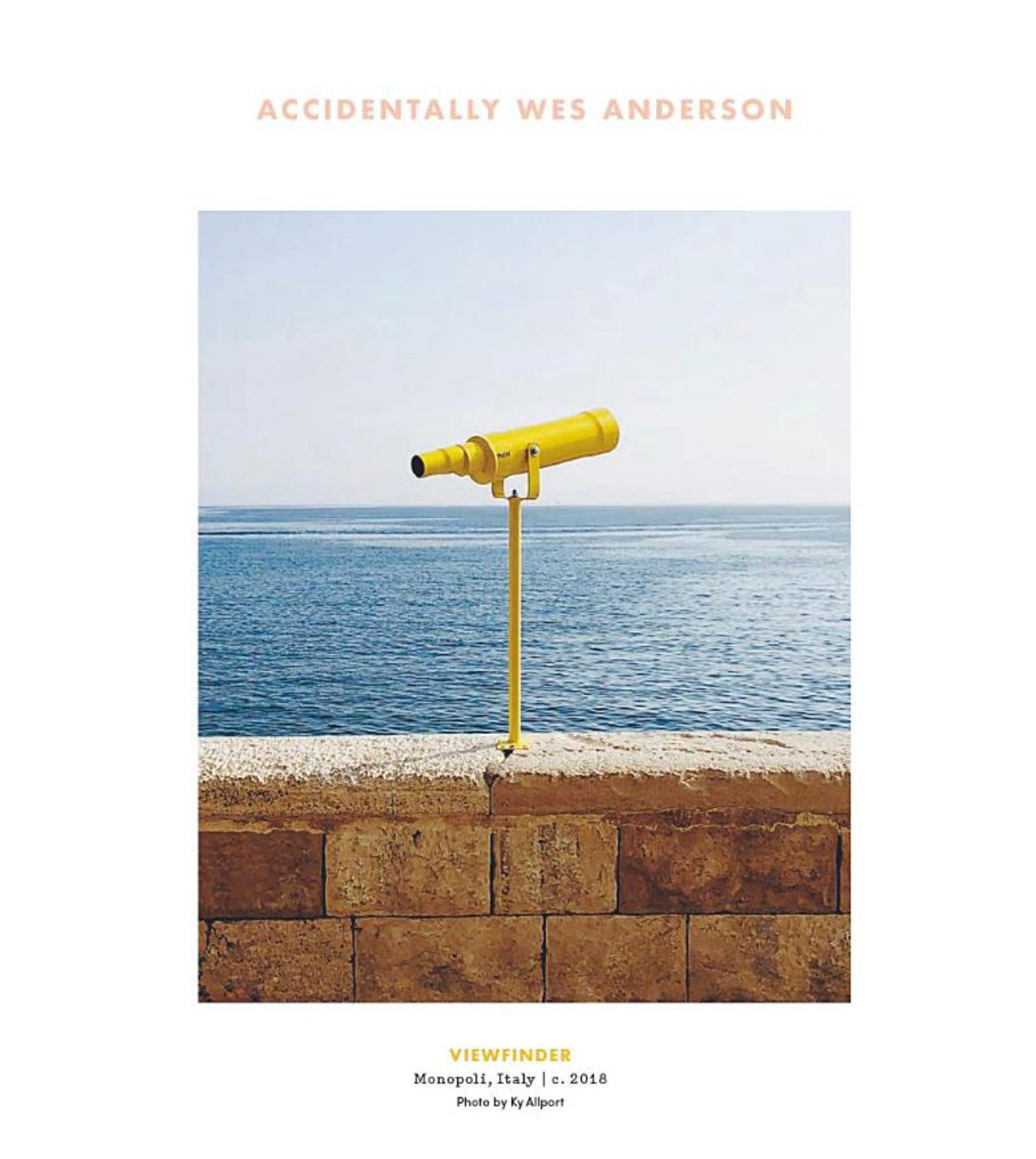 Accidentally Wes Anderson