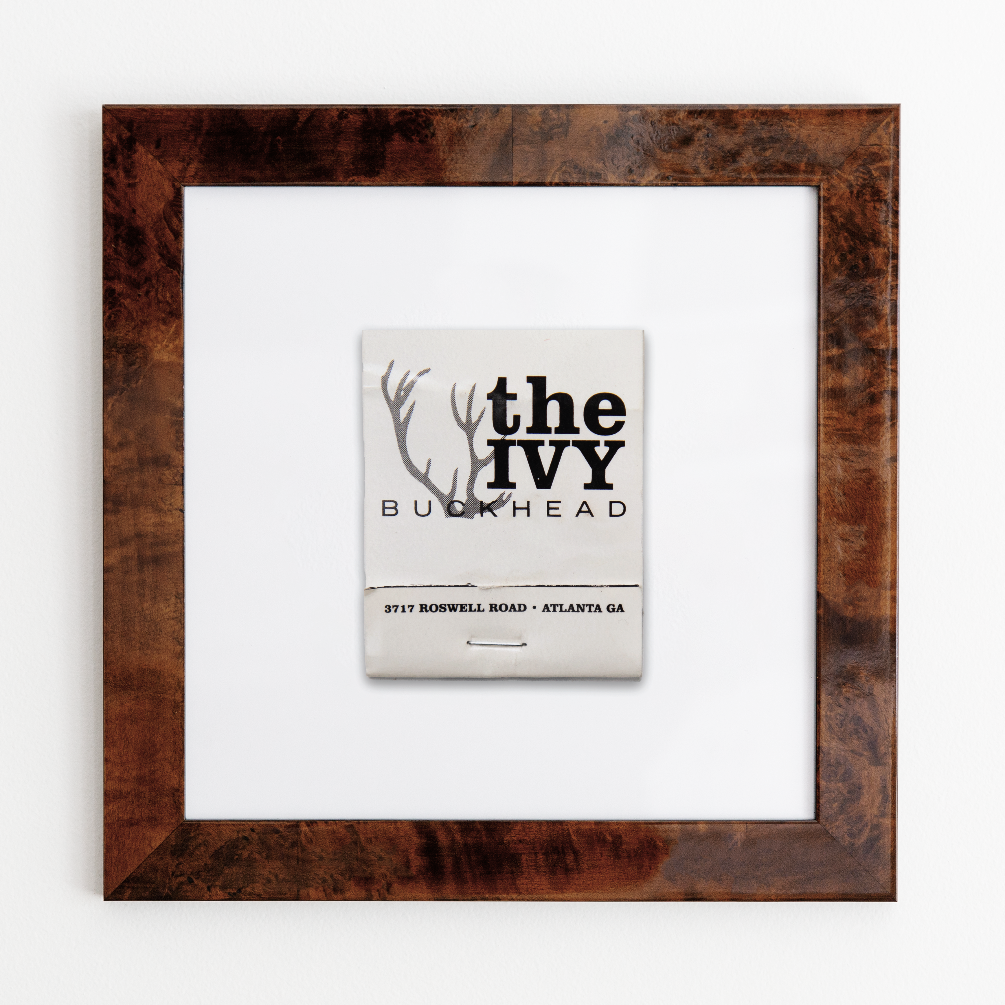 The Ivy