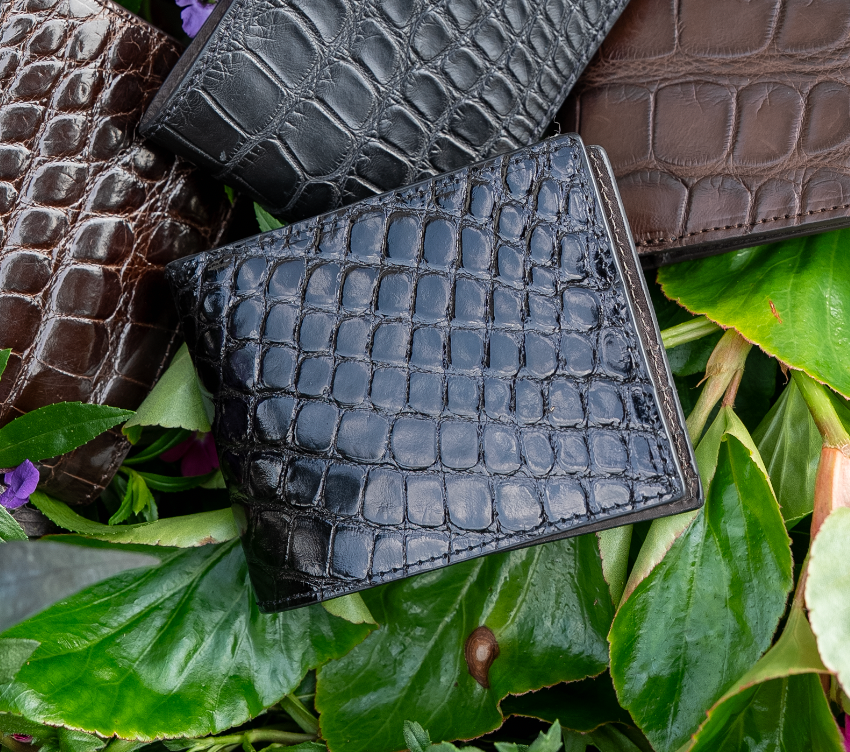 Alligator Bifold in Glossed Black
