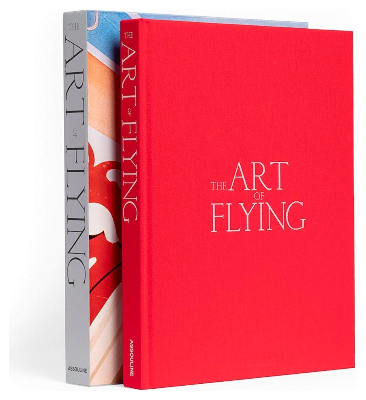 The Art of Flying