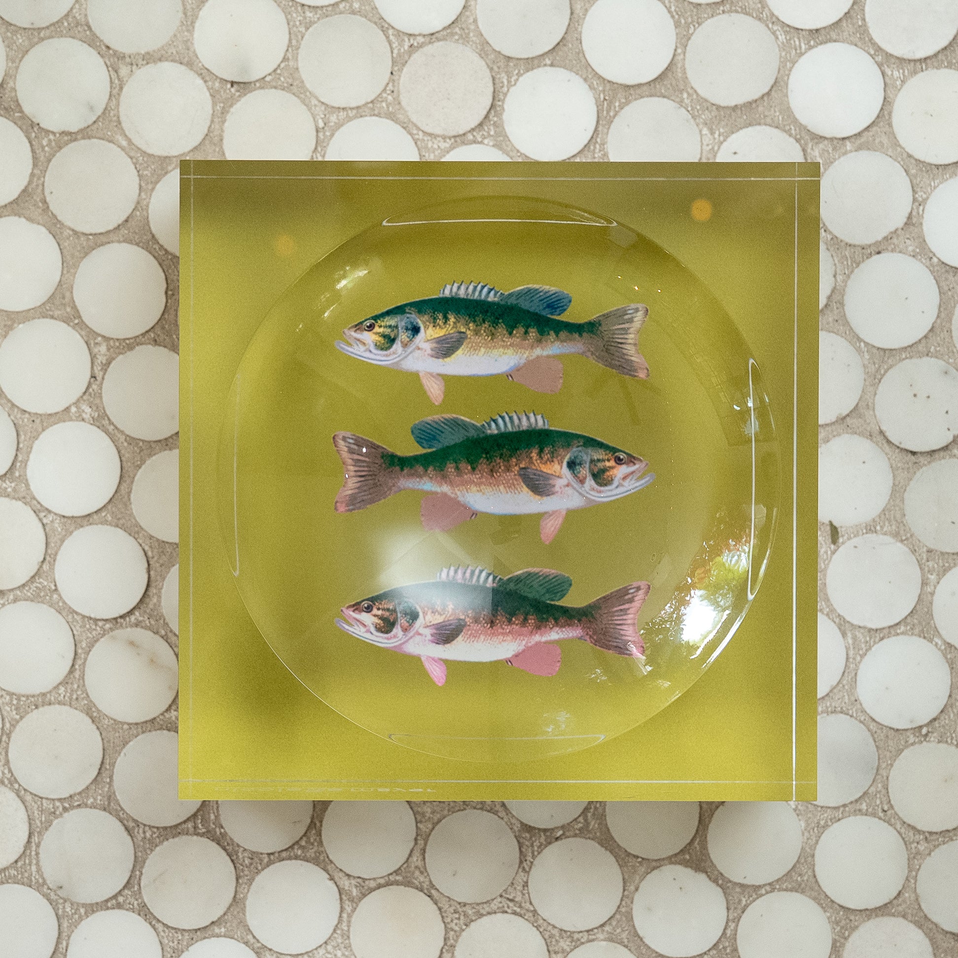 Bass Acrylic Candy Dish
