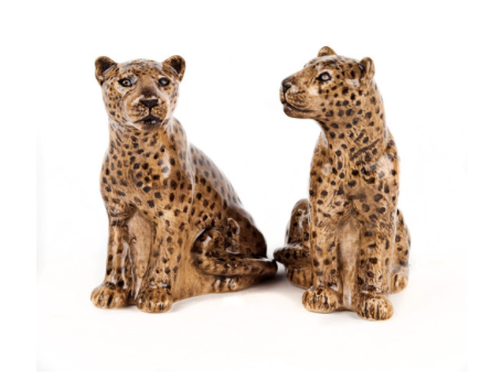 Leopard Salt & Pepper Shakers