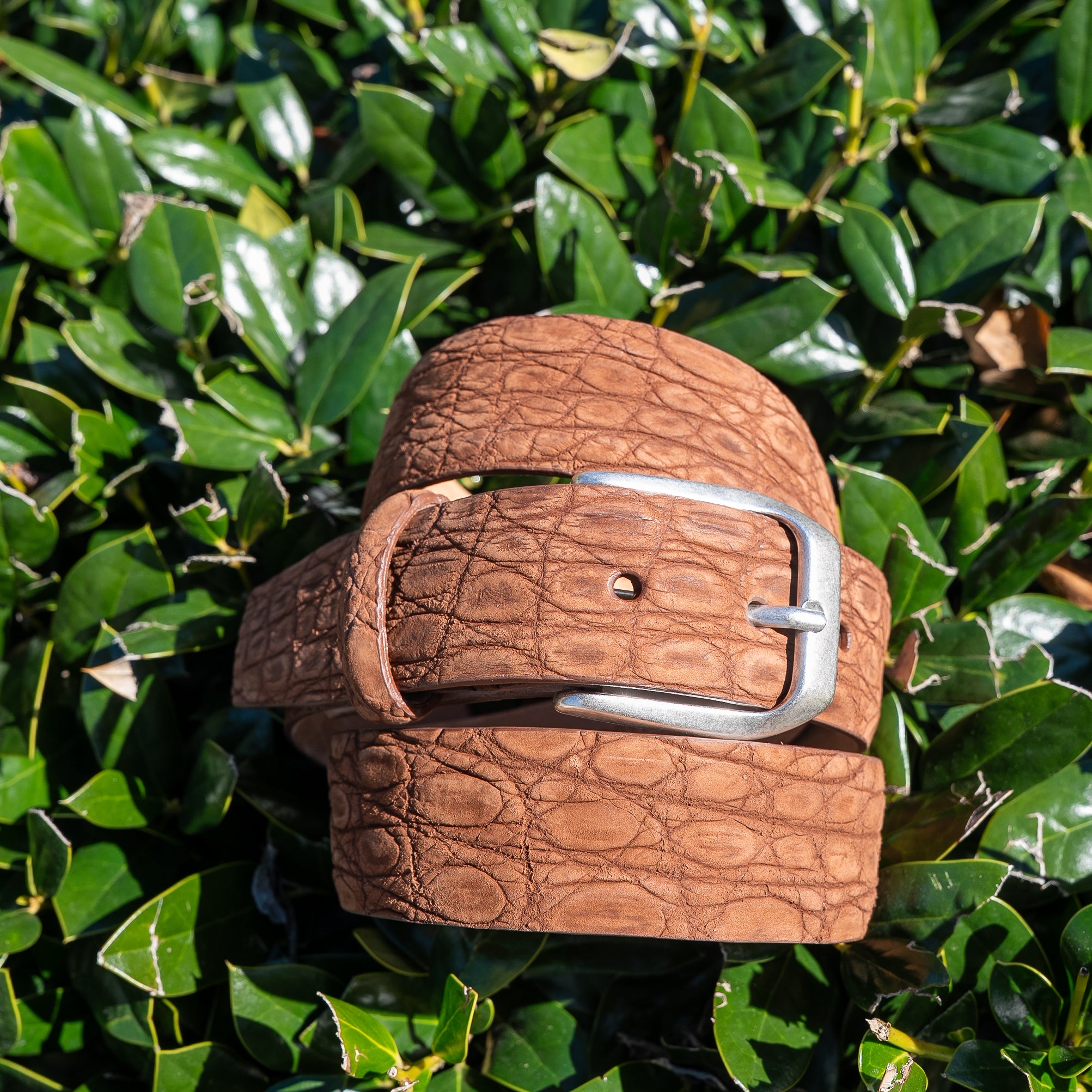 Sueded Genuine Crocodile Belt