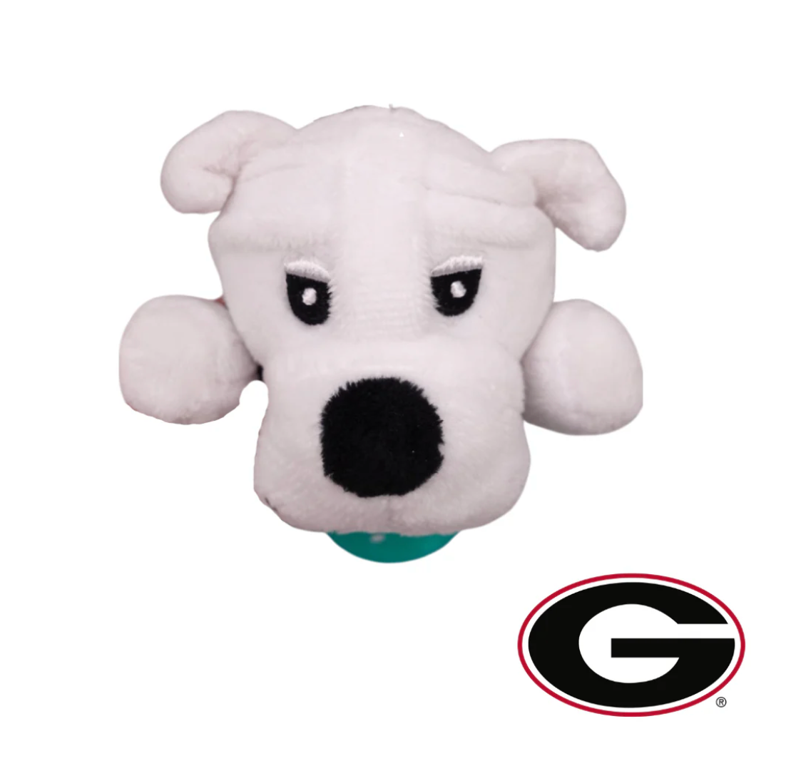 Georgia UGA