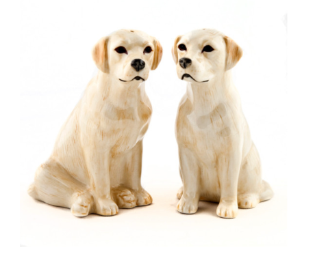 Lab Salt & Pepper Shakers