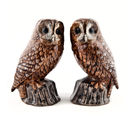 Tawny Owl Salt & Pepper Shaker