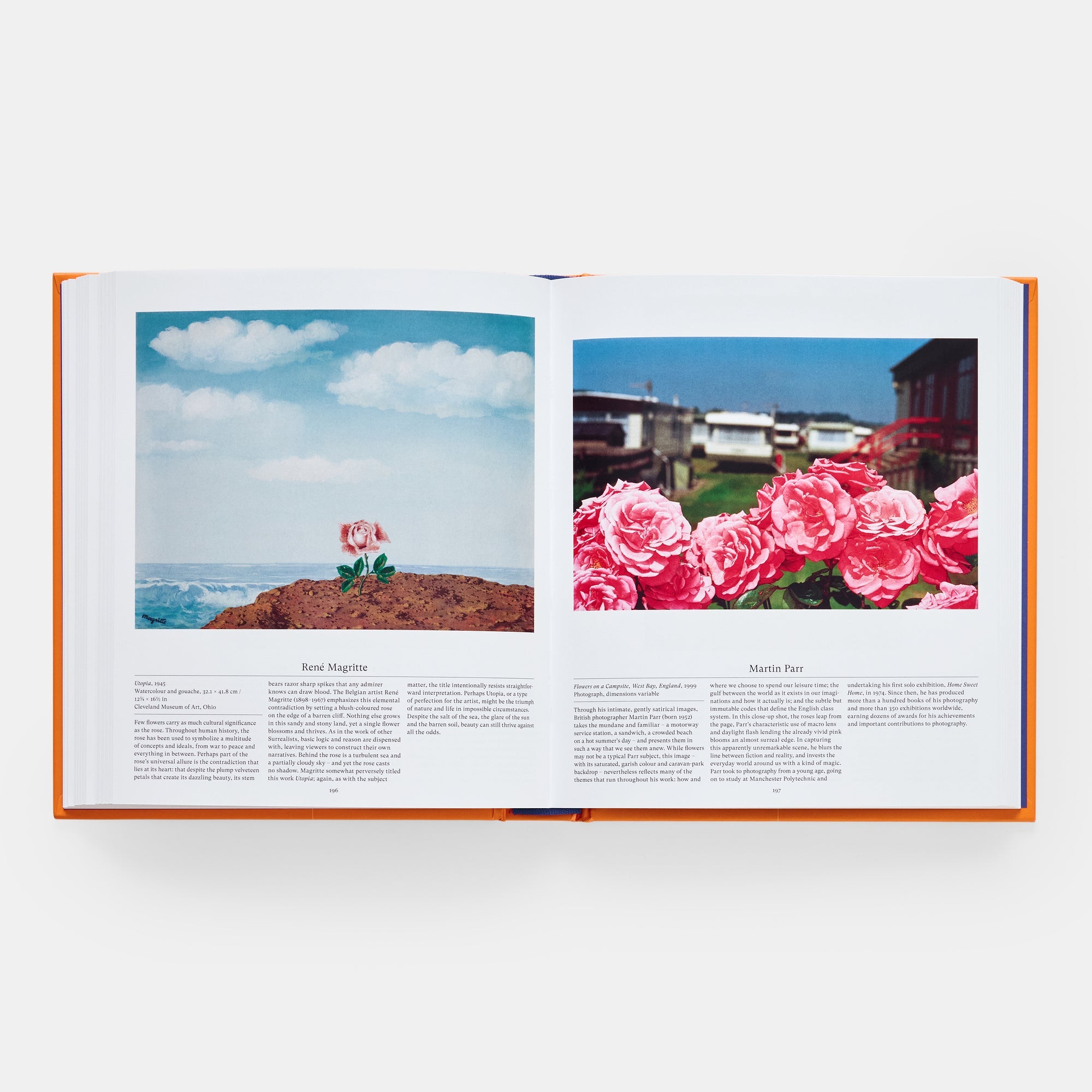Flower: Exploring the World in Bloom (Compact Format)