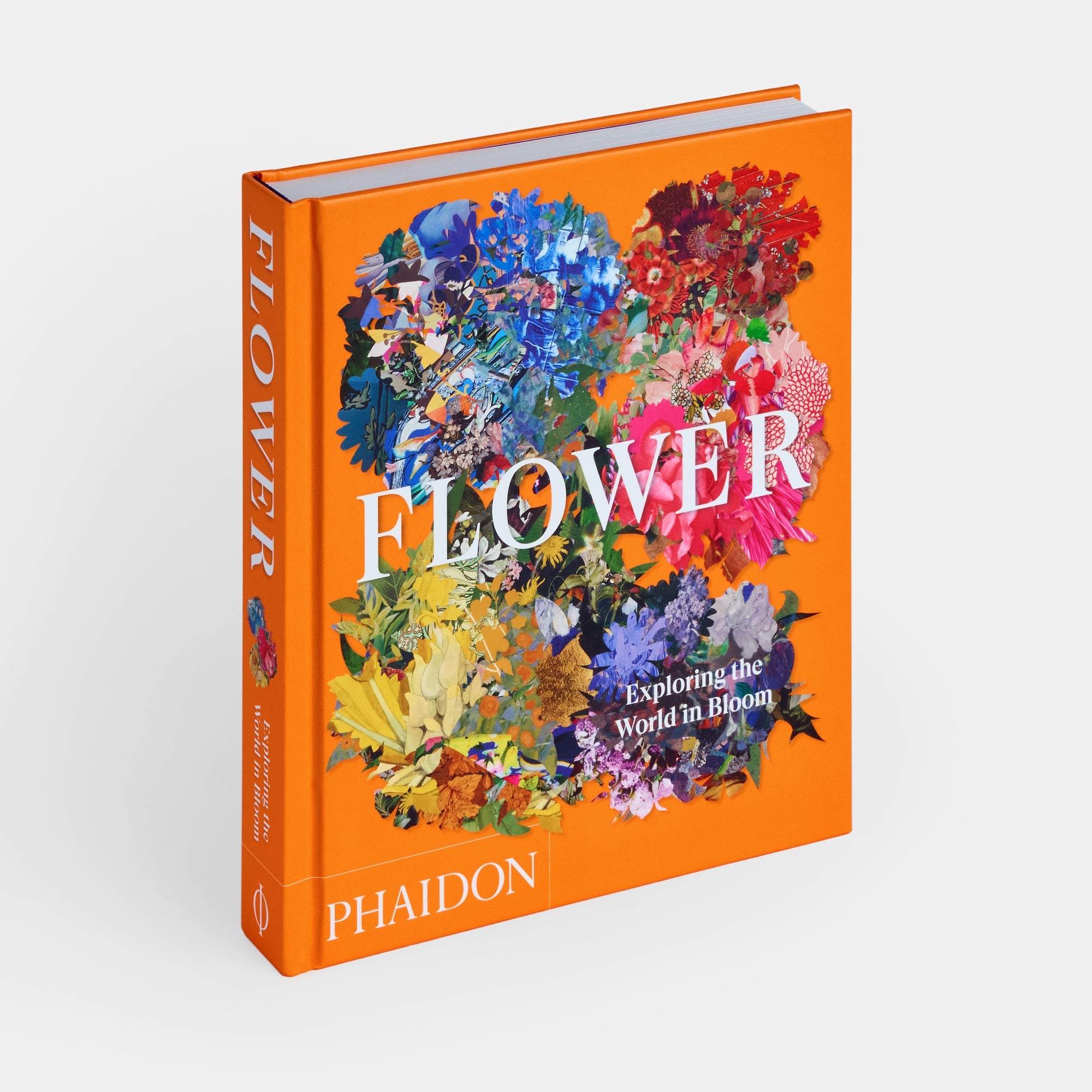 Flower: Exploring the World in Bloom (Compact Format)