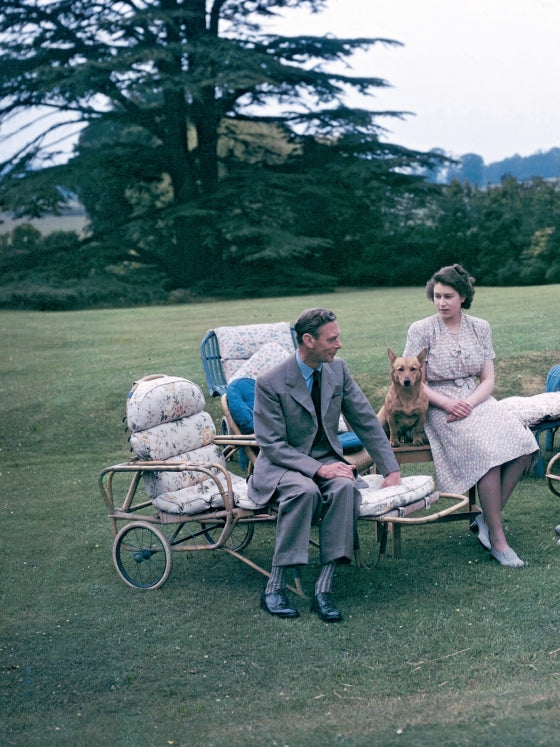 Rattan