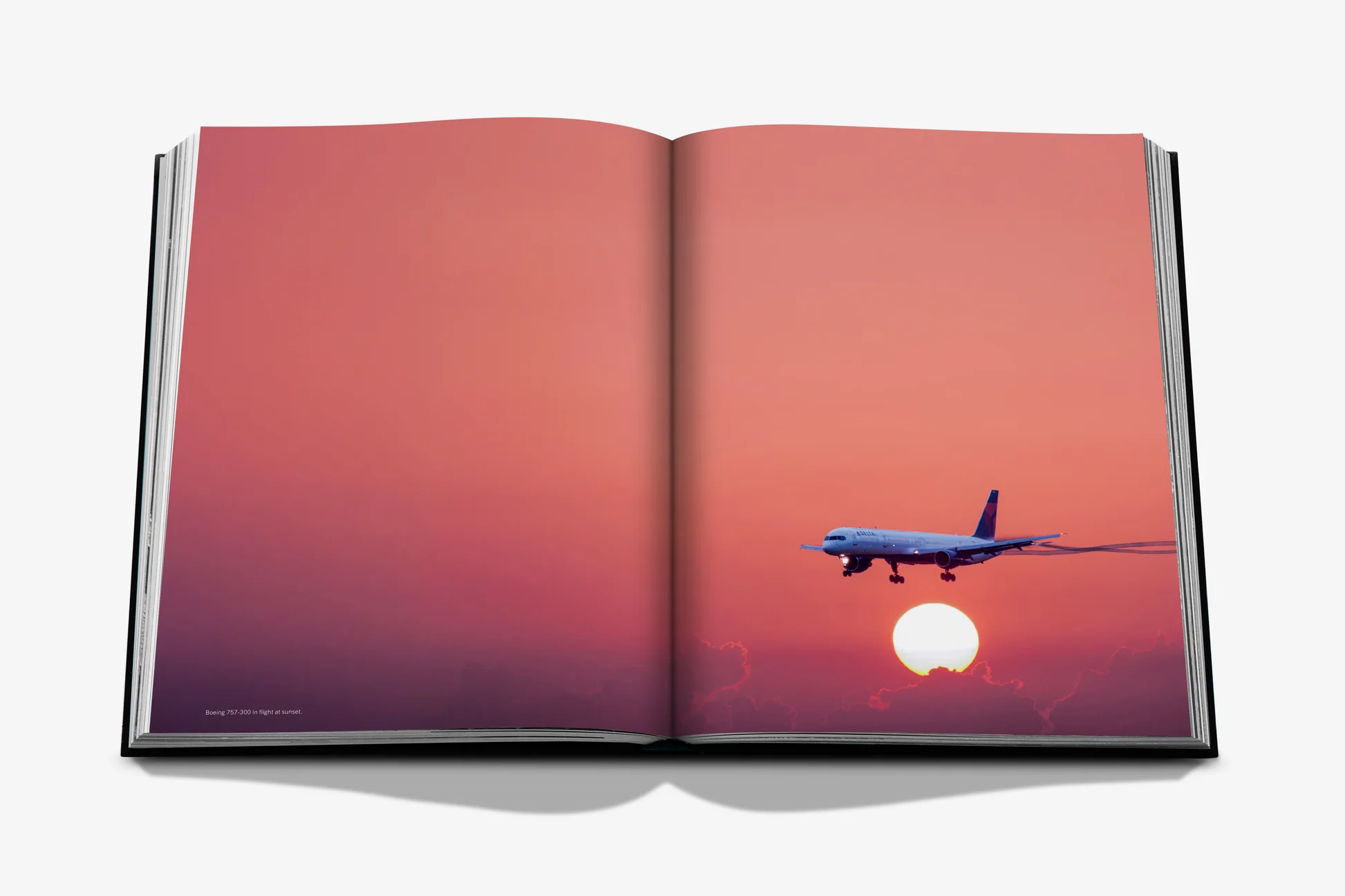 DELTA: 100 YEARS AND CLIMBING