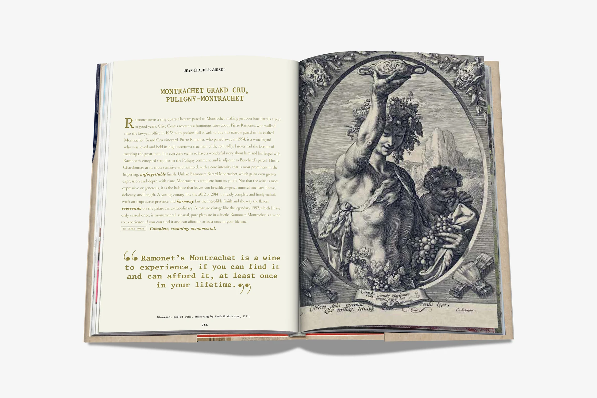 The 100 Burgundy: Exceptional Wines to Build a Dream Cellar