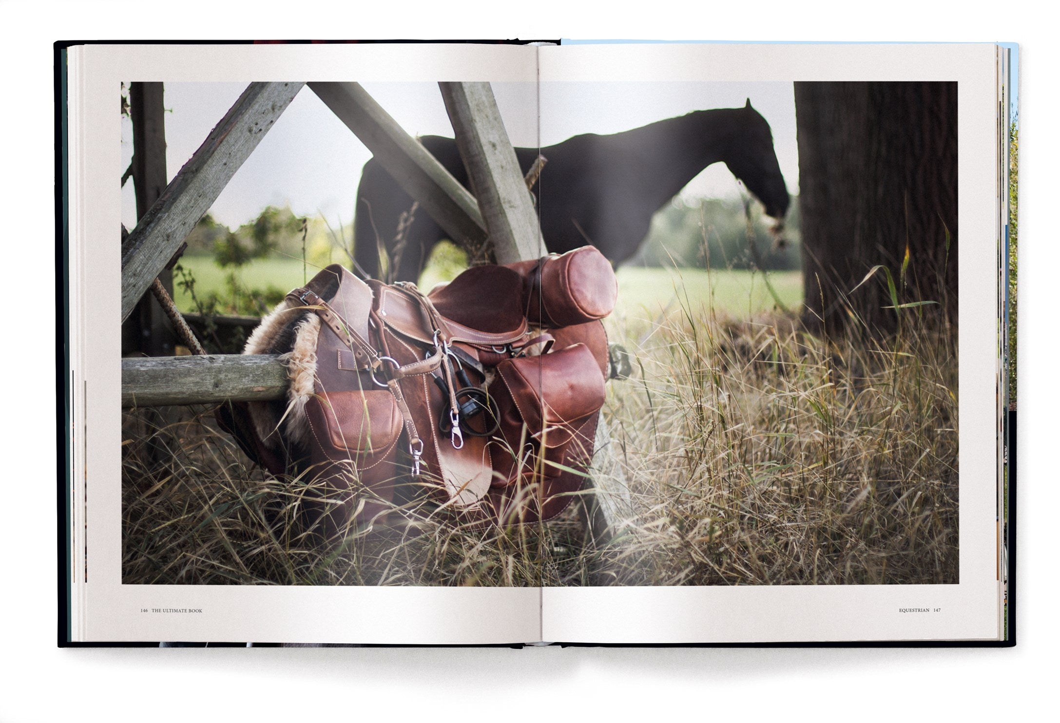Equestrian - The Ultimate Book