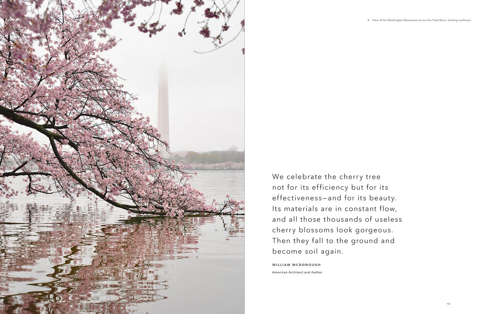 Trope Washington DC