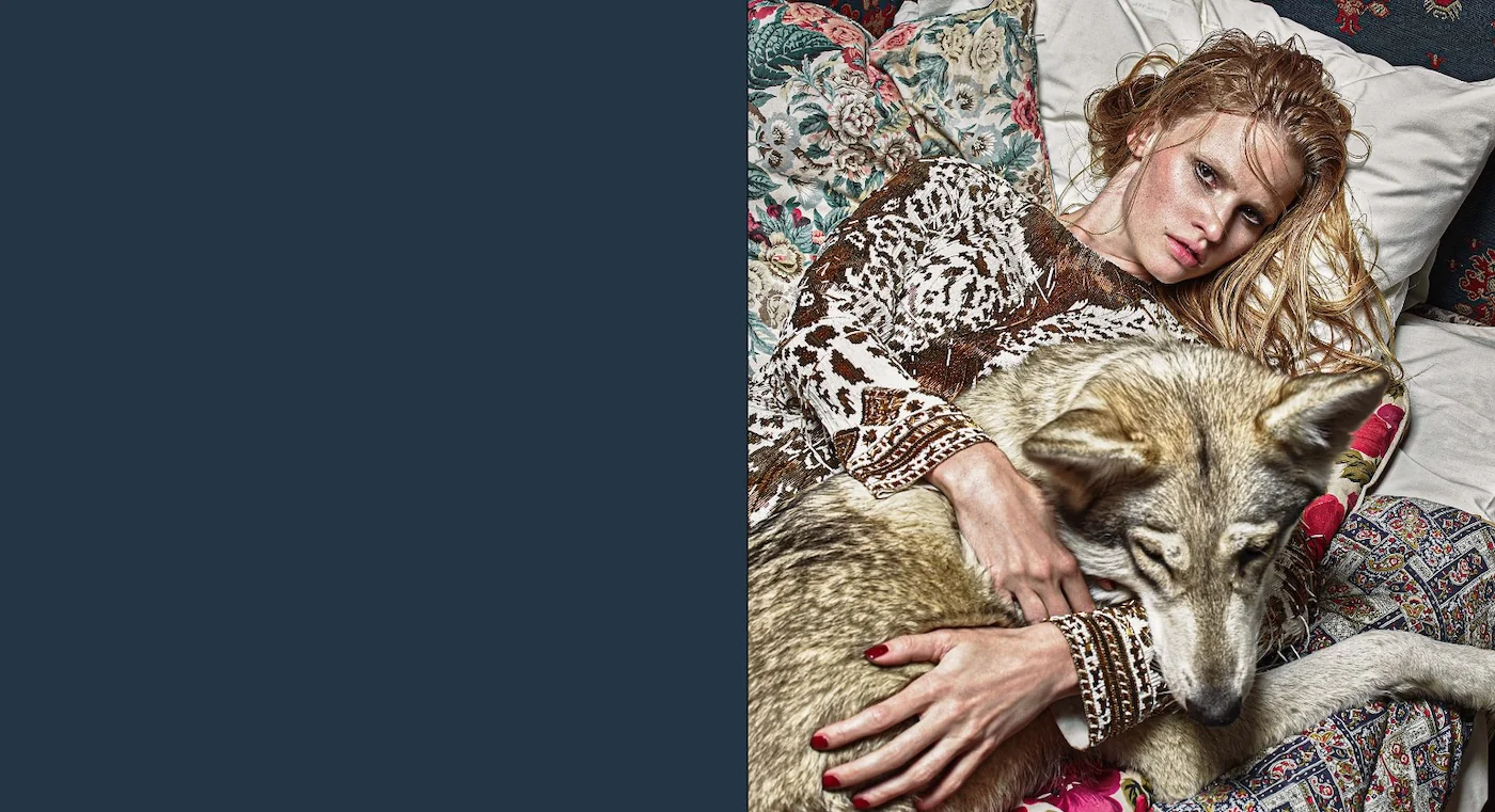 Pucci: The Art of Fashion