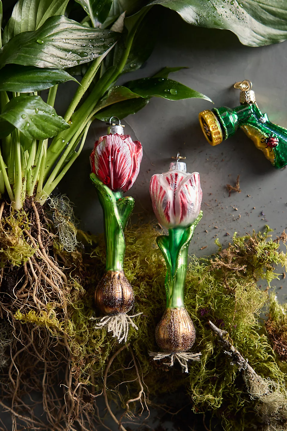 Tulip Bulb Ornament