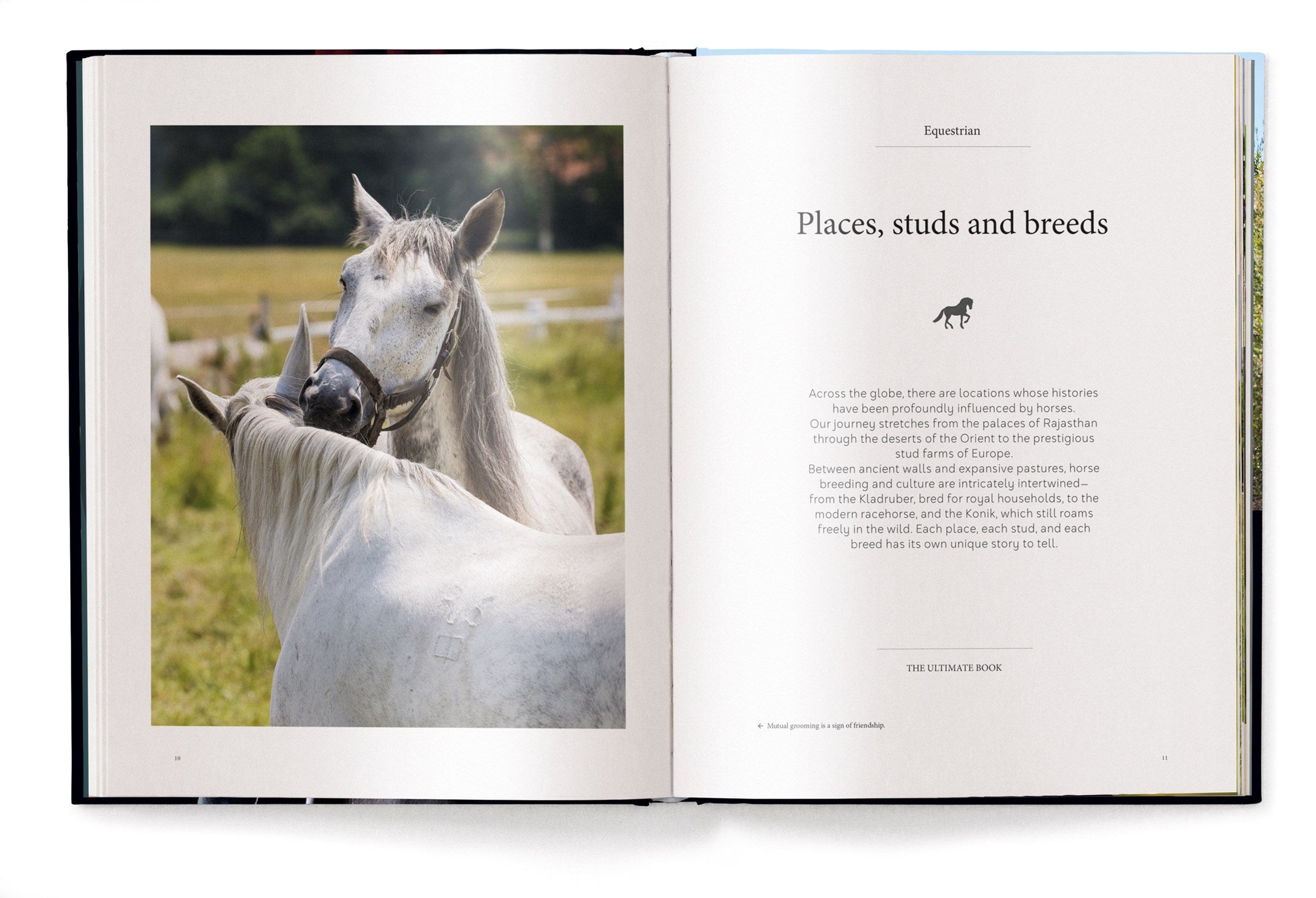 Equestrian - The Ultimate Book