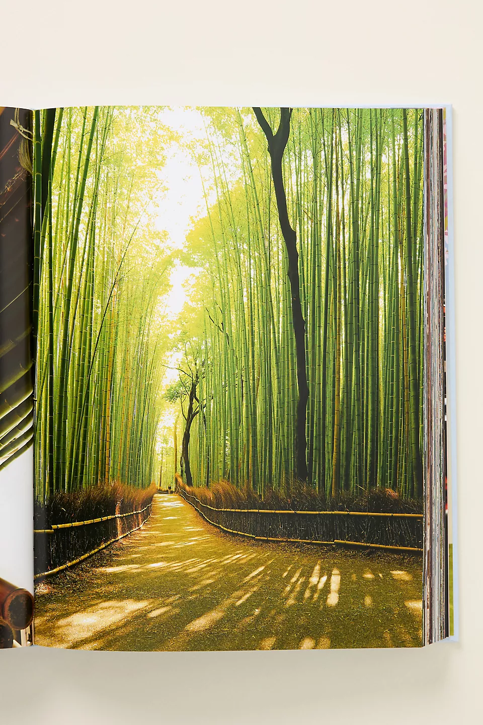 Kyoto Serenity