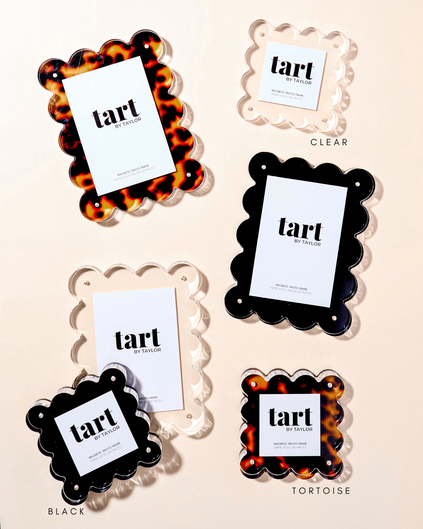 Tortoise Mini Picture Frame