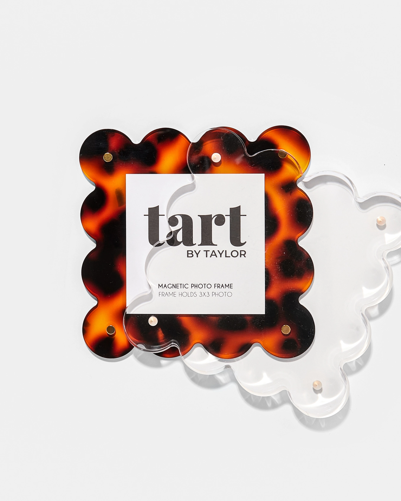 Tortoise Mini Picture Frame