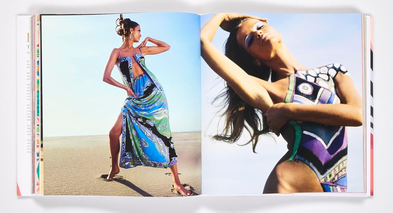 Pucci: The Art of Fashion