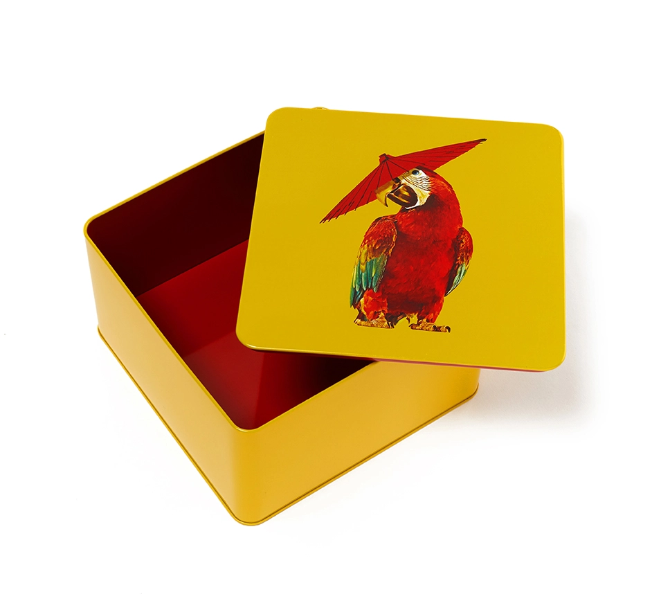 Square Metal Box Arapluie (Parrot Box)