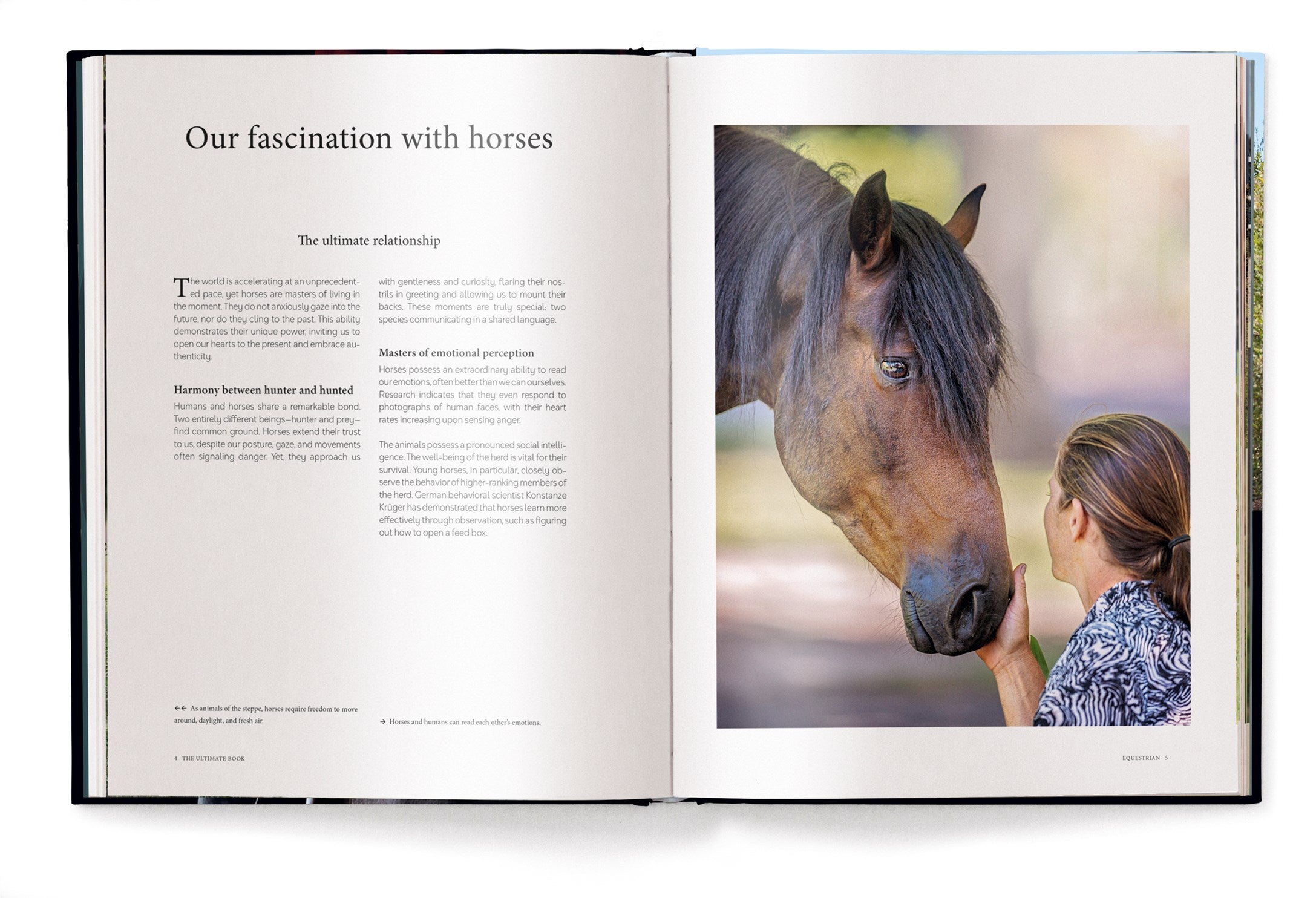 Equestrian - The Ultimate Book