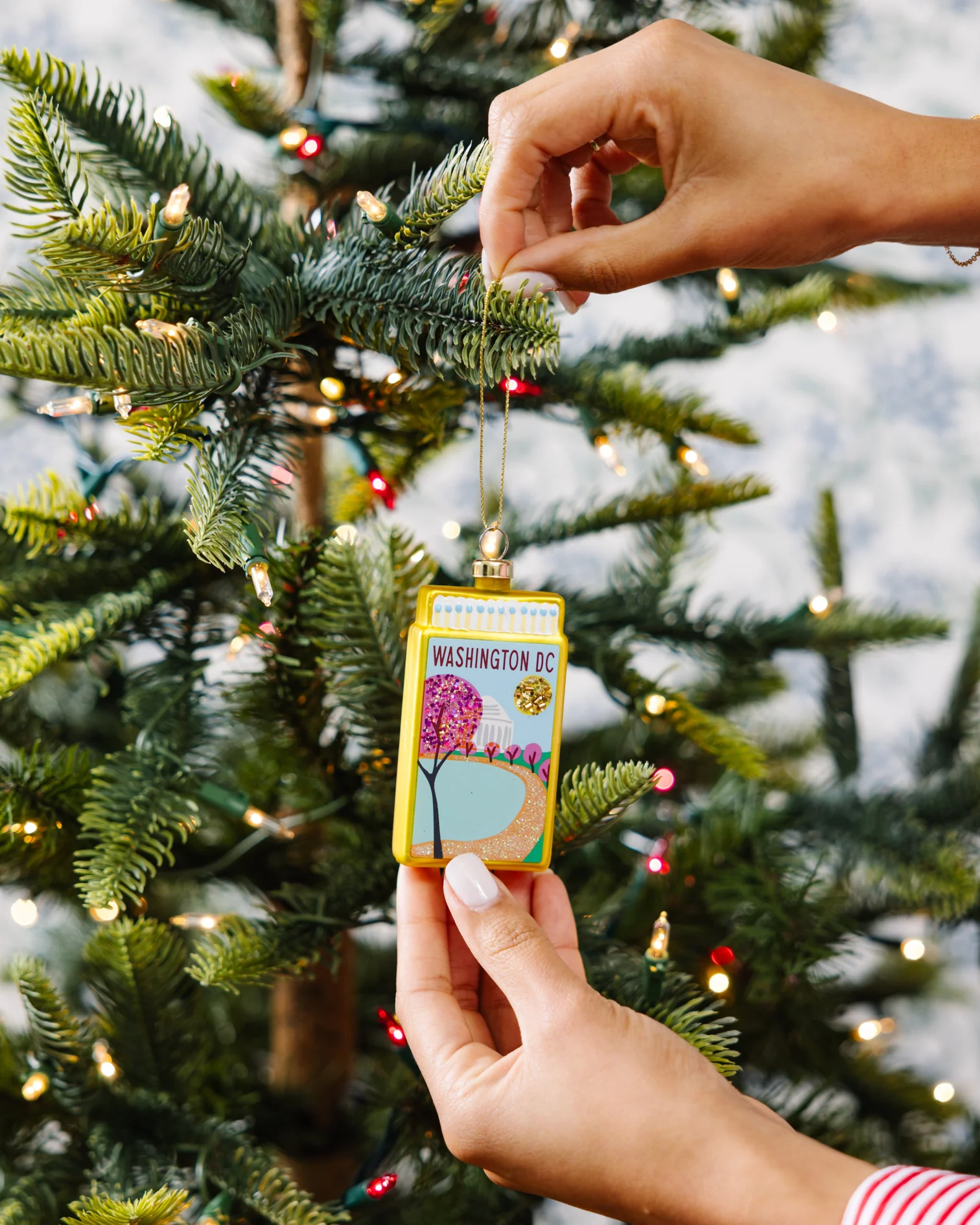Matchbook Ornament - Washington DC