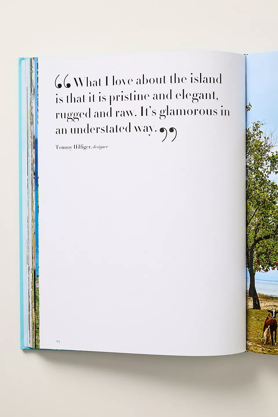 Mustique Icon