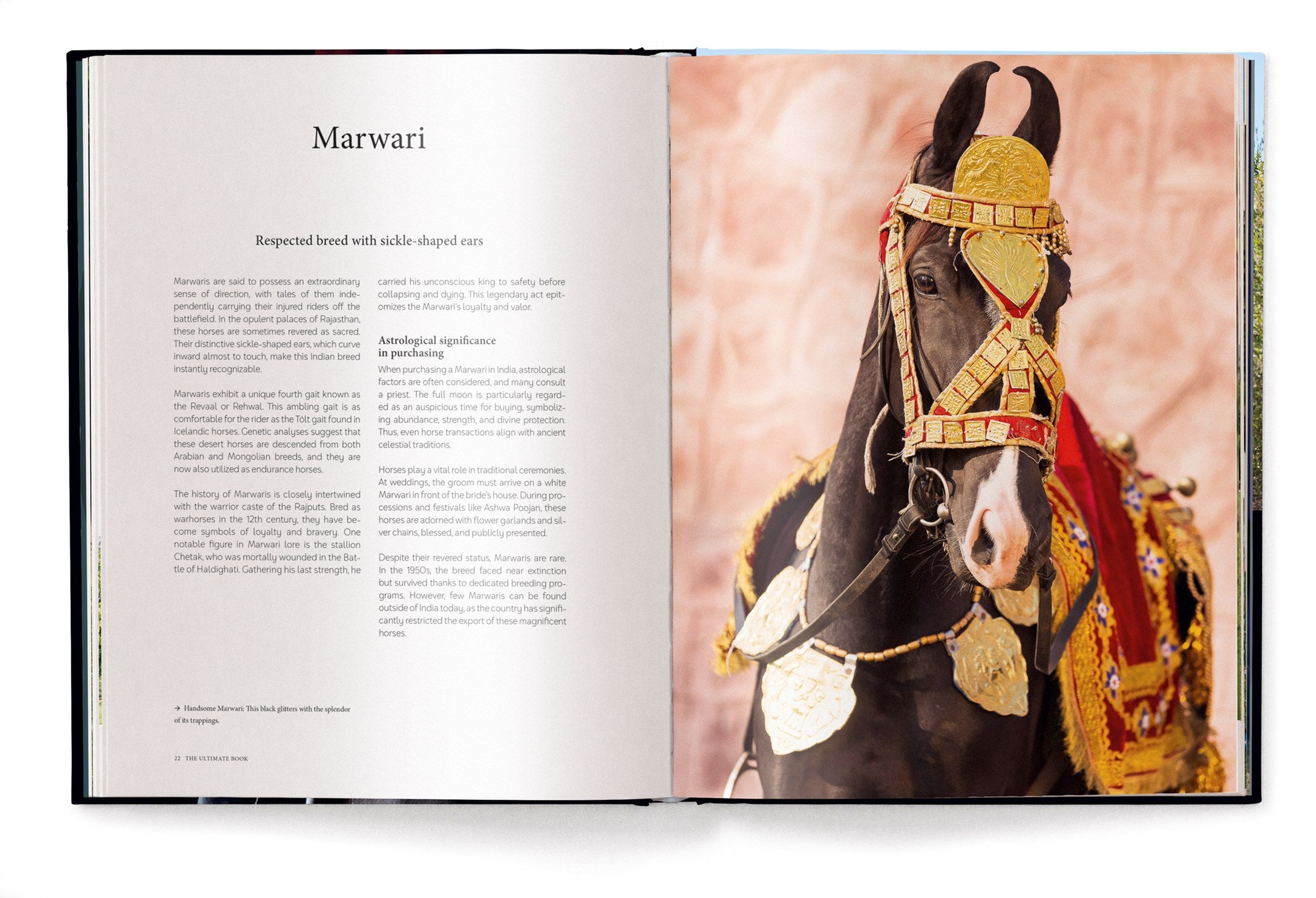Equestrian - The Ultimate Book