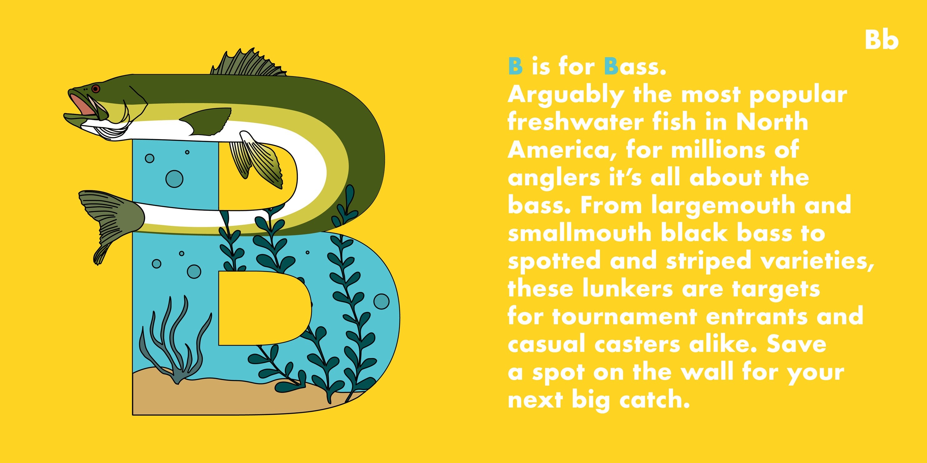 Fish Alphabet