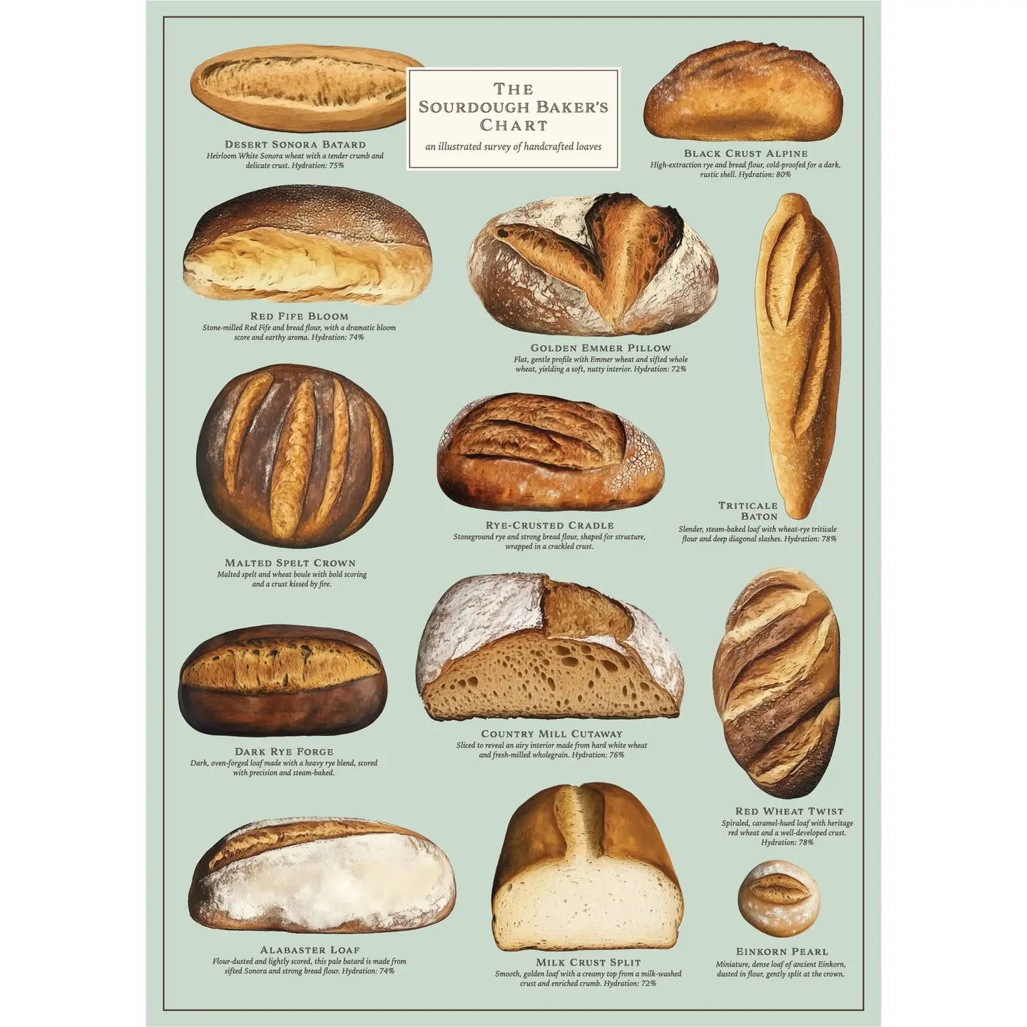 Sourdough Puzzle