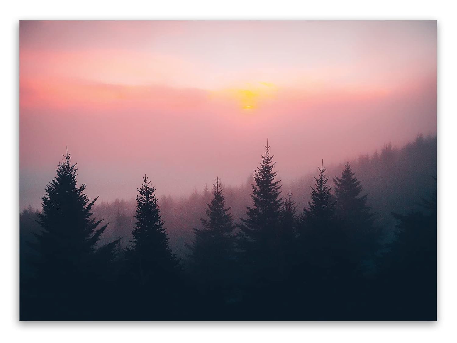 Blue Ridge Dreaming
